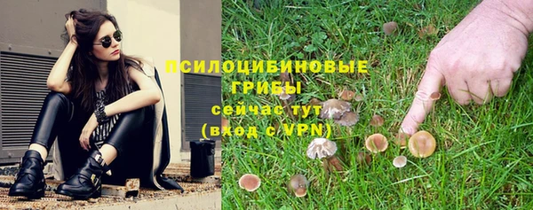 spice Абаза
