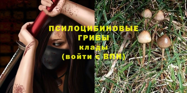 первитин Абинск
