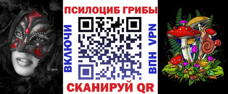 где найти наркотики  Вилючинск  omg ССЫЛКА  Псилоцибиновые грибы Psilocybe 